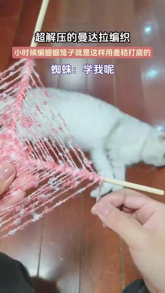 超解压的曼达拉编织，小时候编蝈蝈笼子就是这样用麦秸打底的！