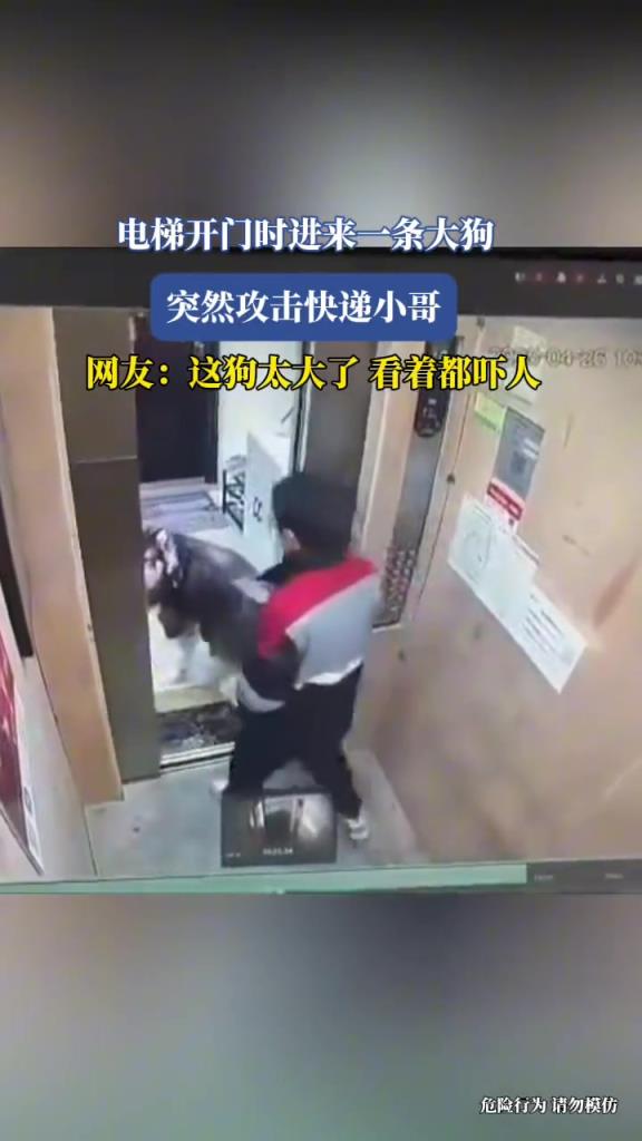电梯开门时进来一条大狗,竟突然攻击快递小哥!!!