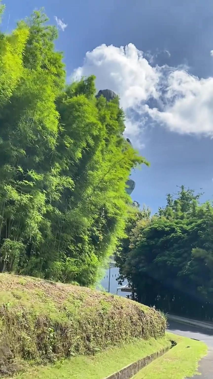 世界最高雕像之一！巴厘岛鹰头迦楼罗，这压迫感绝了！