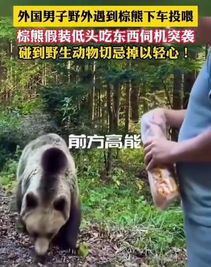 恐怖！這熊也太聰明了！不知道人怎么樣了！