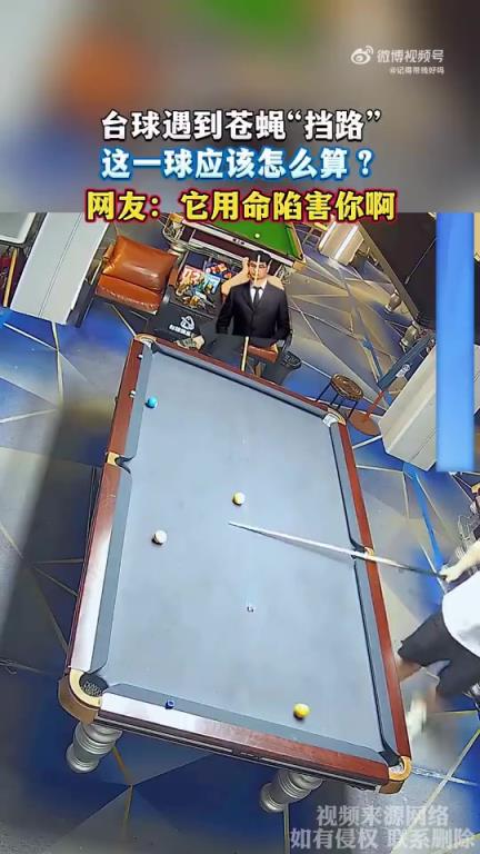 台球遇到苍蝇“挡路”，这一球应该怎么算？网友：它用命陷害你啊