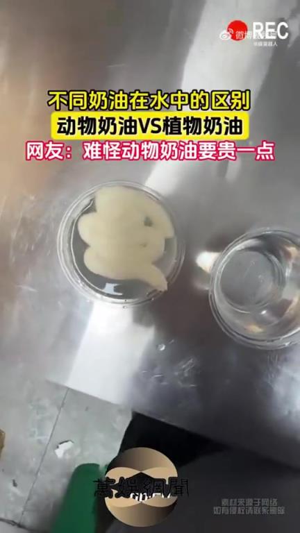 不同奶油在水中的區別：動物奶油與植物奶對比