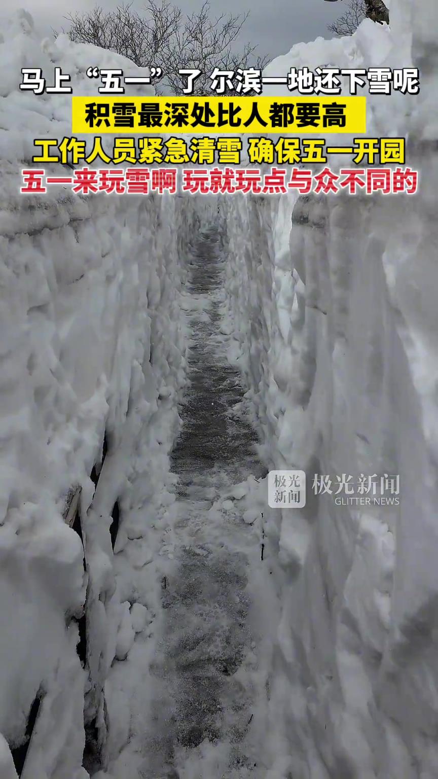 馬上“五一”了，爾濱一地還下雪呢，積雪最深處比人都要高！
