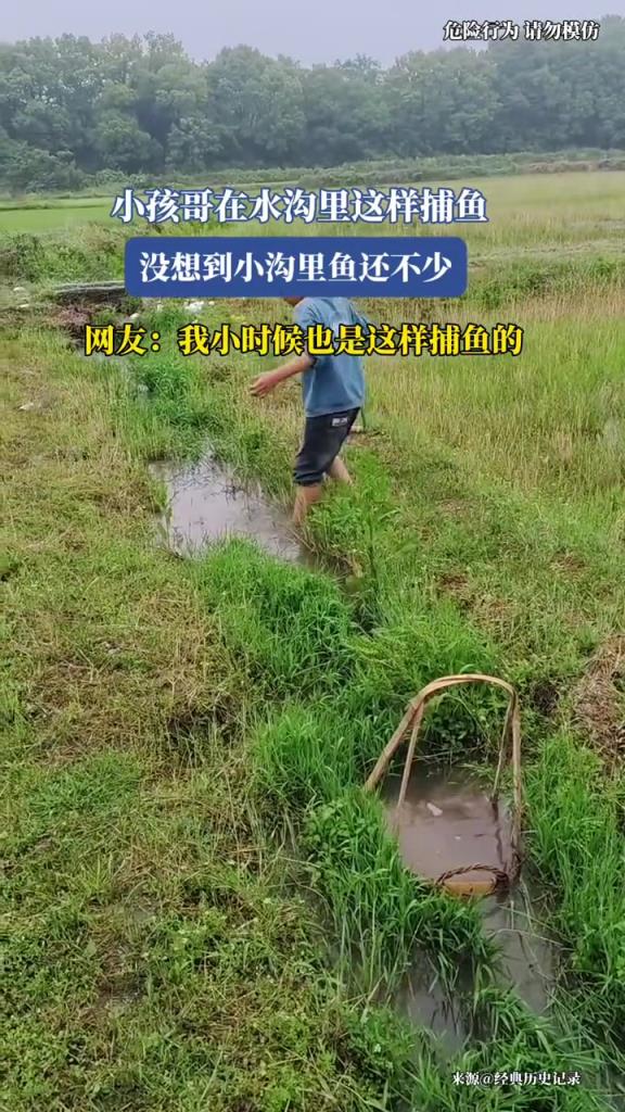 小孩哥在水沟里这样捕鱼,没想到小沟里鱼还不少!!!
