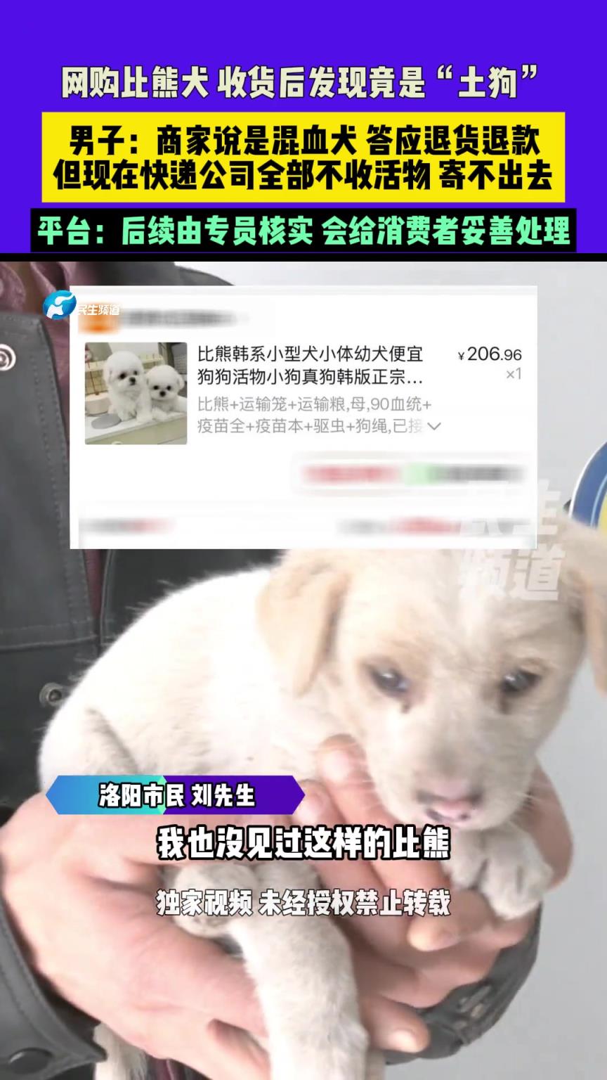 網(wǎng)購比熊犬 收貨后發(fā)現(xiàn)竟是“土狗”