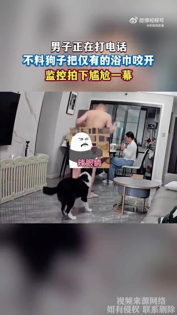 男子打电话时，狗子咬开浴巾，尴尬瞬间被监控记录