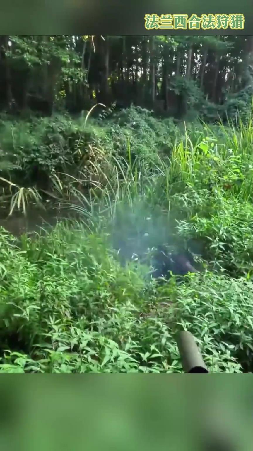 要是我在这种地方，我一年到头都不用买猪肉