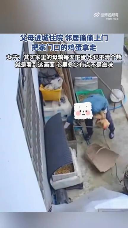 父母進城住院，鄰居趁隙拿走家門口雞蛋