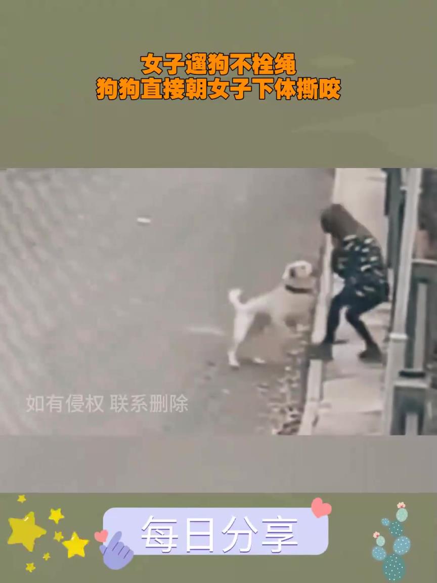 女子遛狗不栓绳，狗狗直接朝女子撕咬