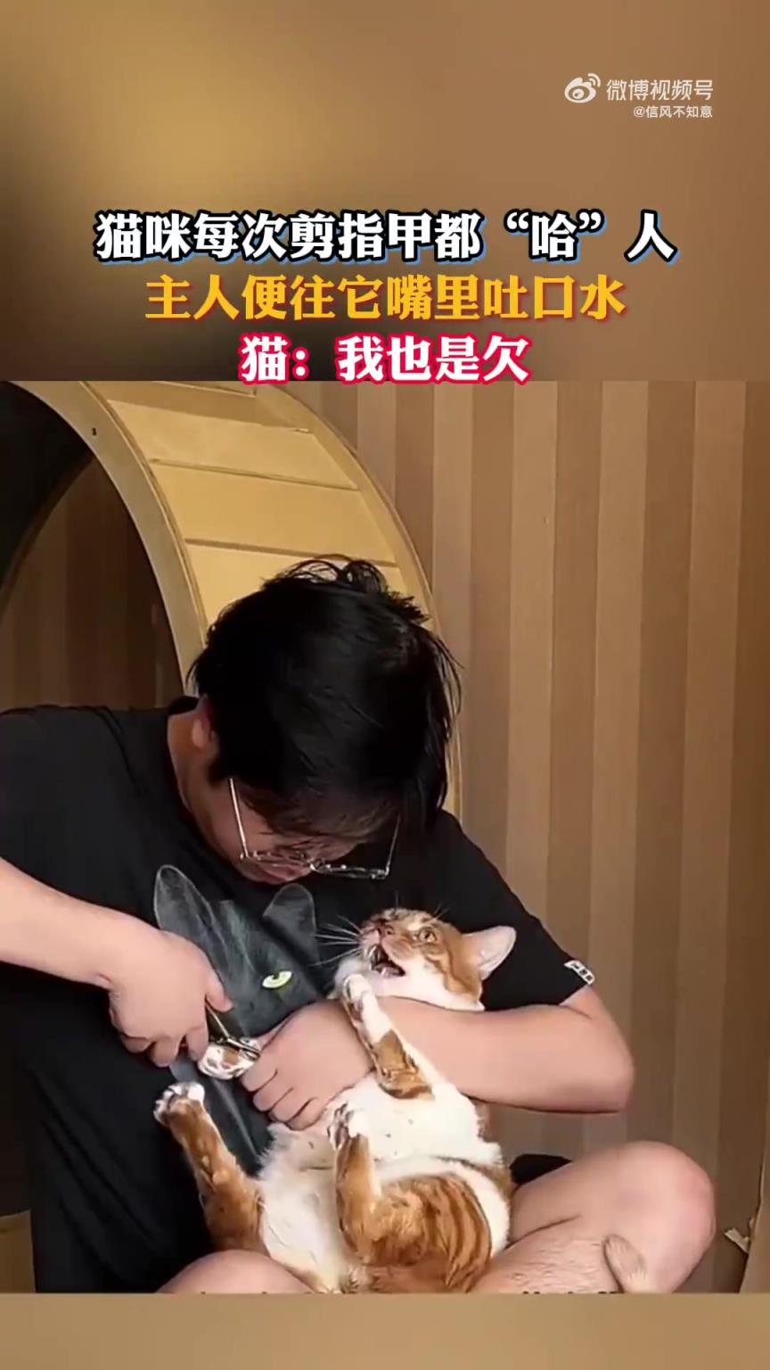貓咪剪指甲時“哈”人，主人竟往其嘴里吐口水
