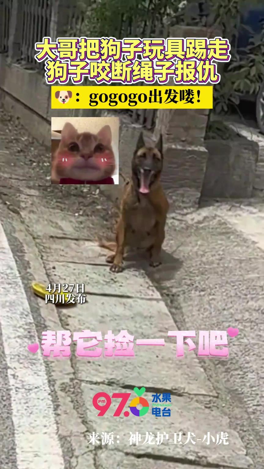 男子调戏狗狗，结果狗子咬断绳子冲出复仇