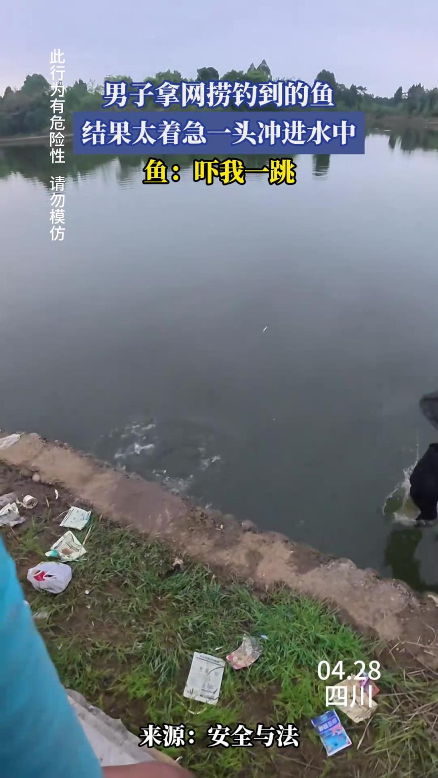 男子拿網(wǎng)撈釣到的魚，結(jié)果太著急一頭沖進(jìn)水中，魚：嚇我一跳