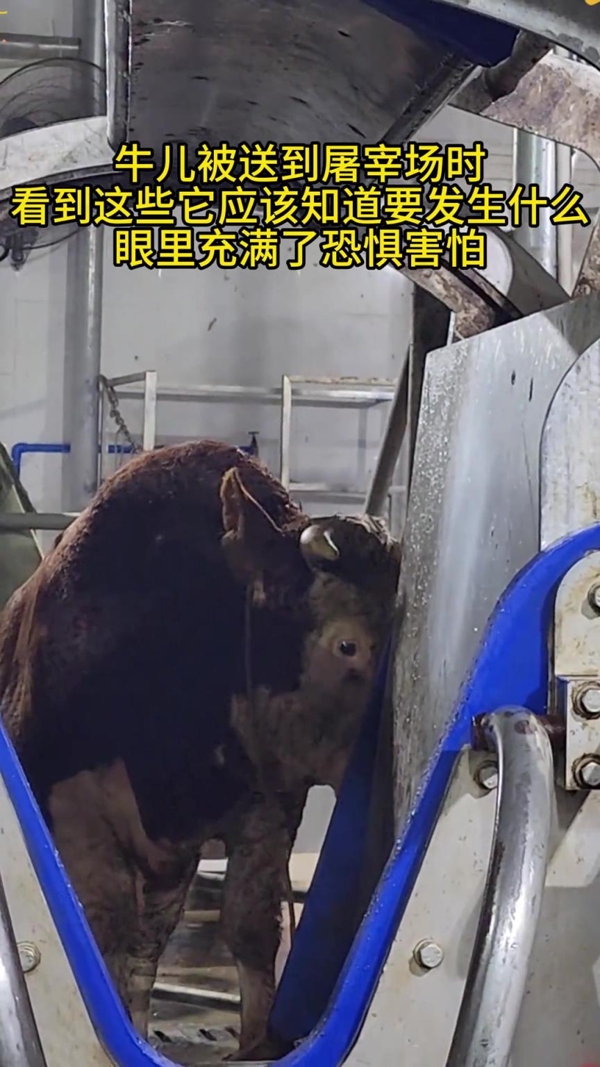 最后關(guān)頭來(lái)臨時(shí)都會(huì)有知覺(jué)