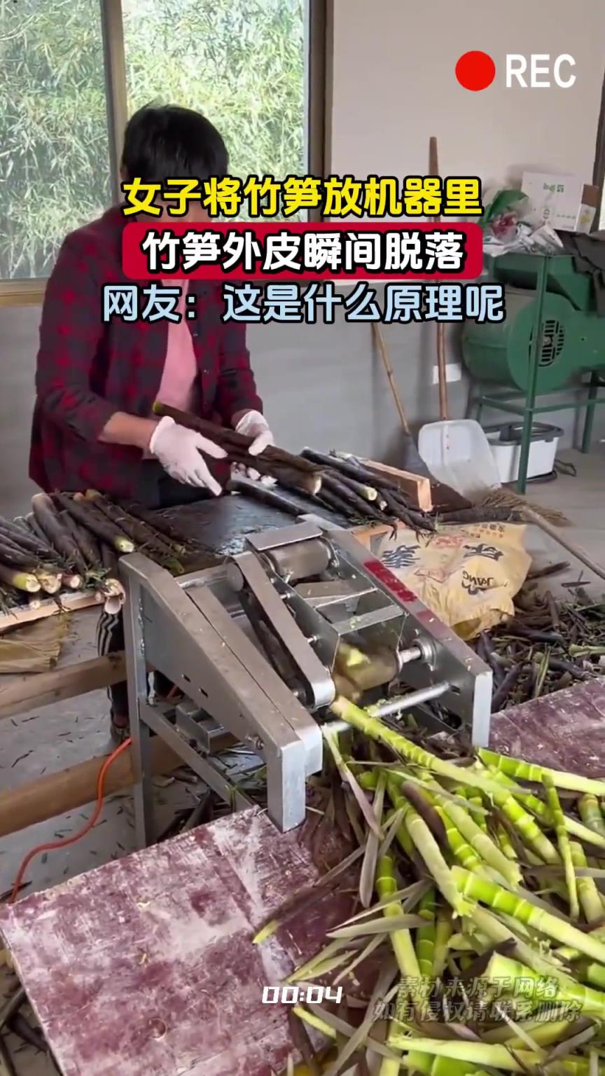 女子将竹笋放机器里，竹笋外皮瞬间脱落，网友：这是什么原理呢