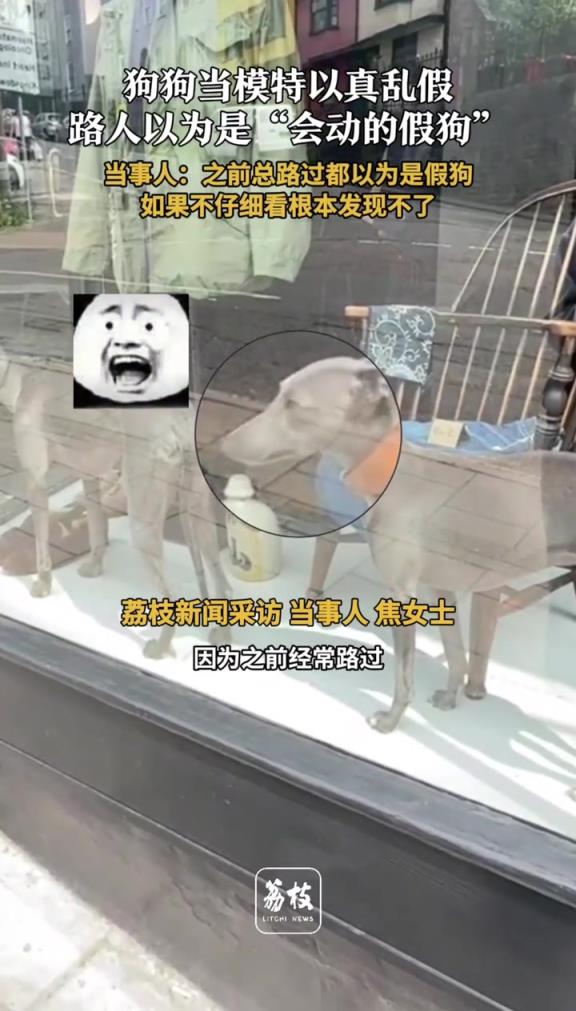怎么训练的？？？