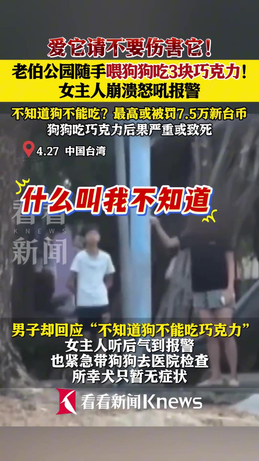 台湾一老伯公园随手喂狗吃3块巧克力 主人气到报警