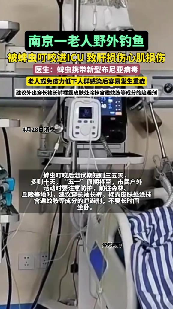 南京一老人野外钓鱼被蜱虫叮咬进ICU，致肝损伤、心肌损伤！
