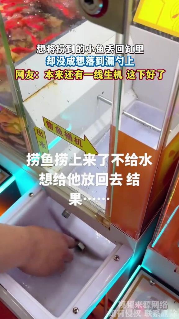 想将捞到的小鱼丢回缸里,却没成想落到漏勺上!