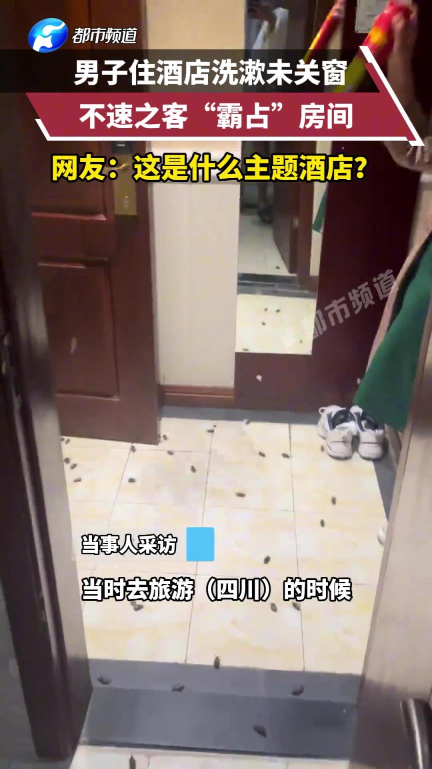 男子住酒店洗漱未关窗，不速之客“霸占”房间