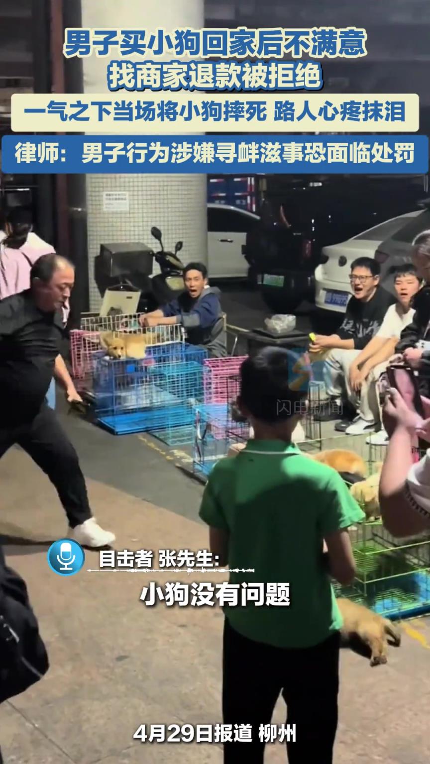 小狗也是无辜的啊！！