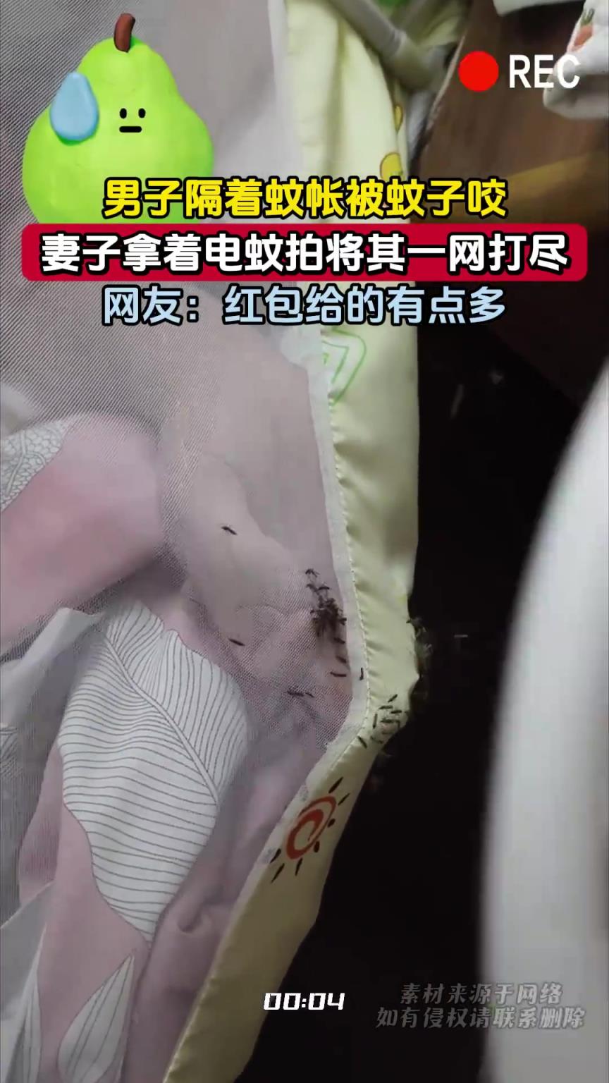 男子隔着蚊帐被蚊子咬，妻子拿着电蚊拍将其一网打尽