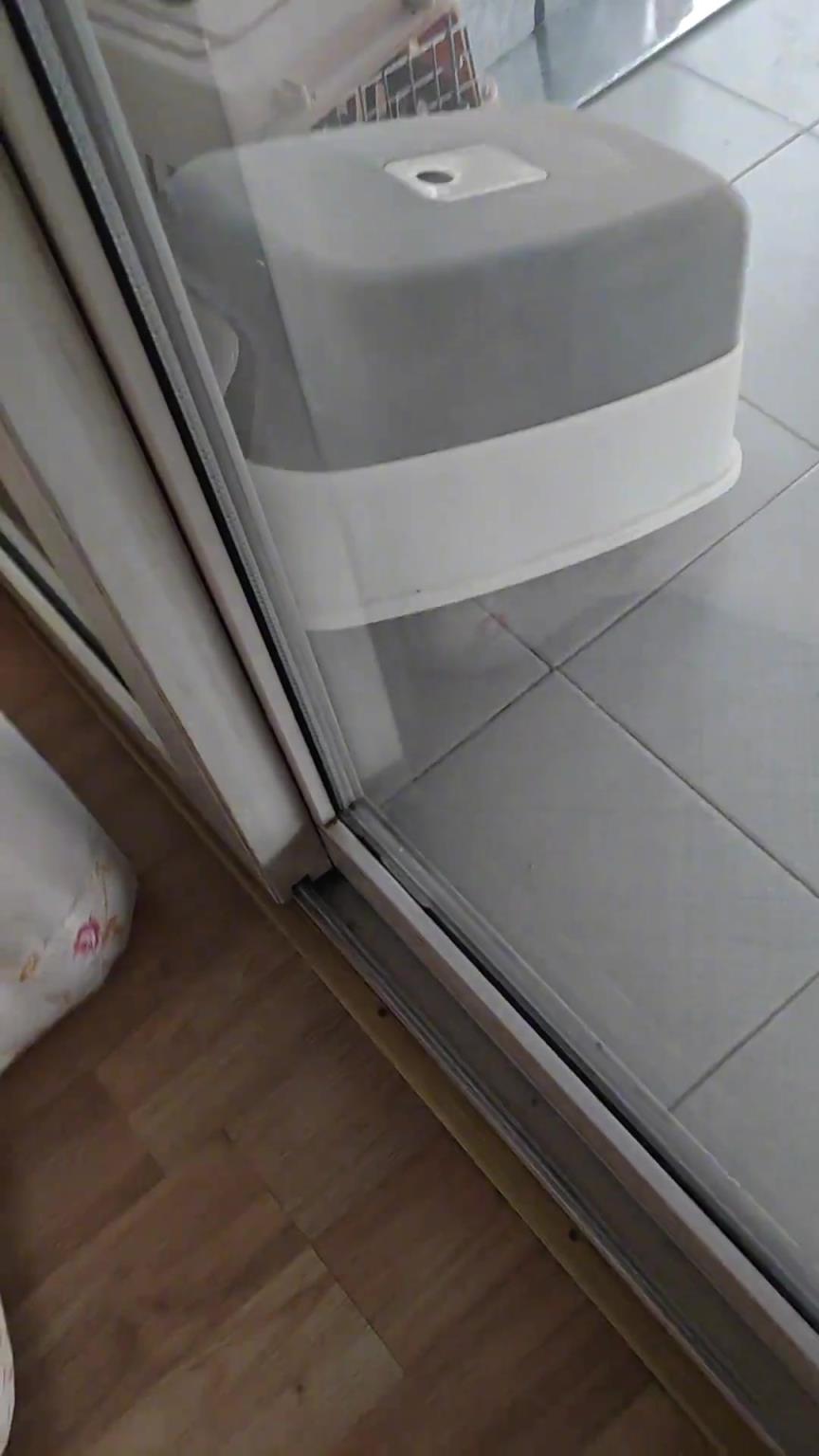 猫，你背着猫砂盆是要去哪？