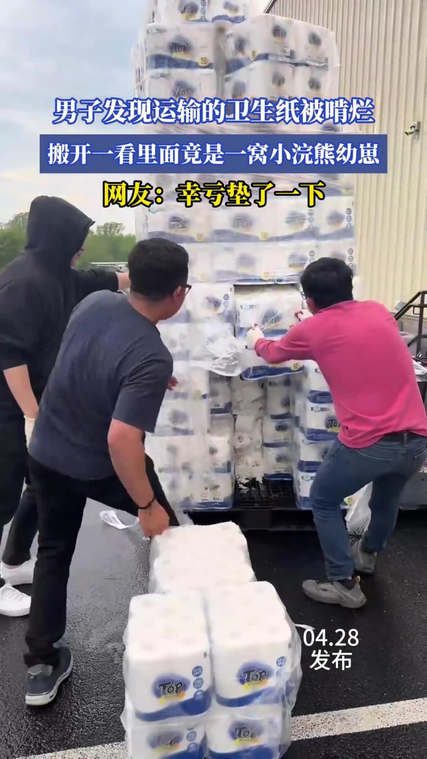男子发现运输的卫生纸被啃烂，搬开一看里面竟是一窝小浣熊幼崽