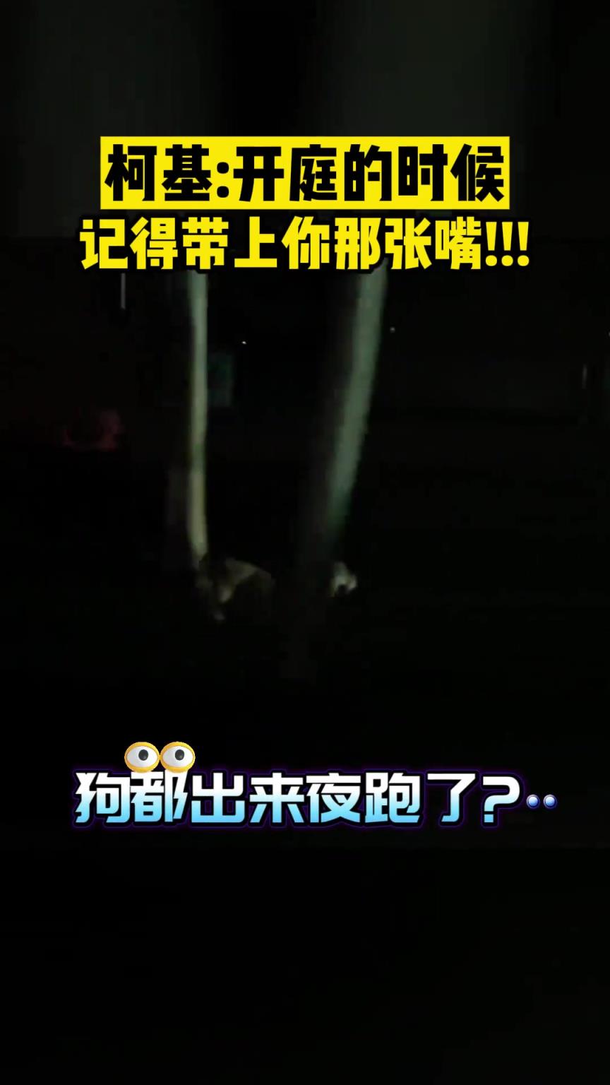 柯基:开庭的时候记得带上你那张嘴!!!
