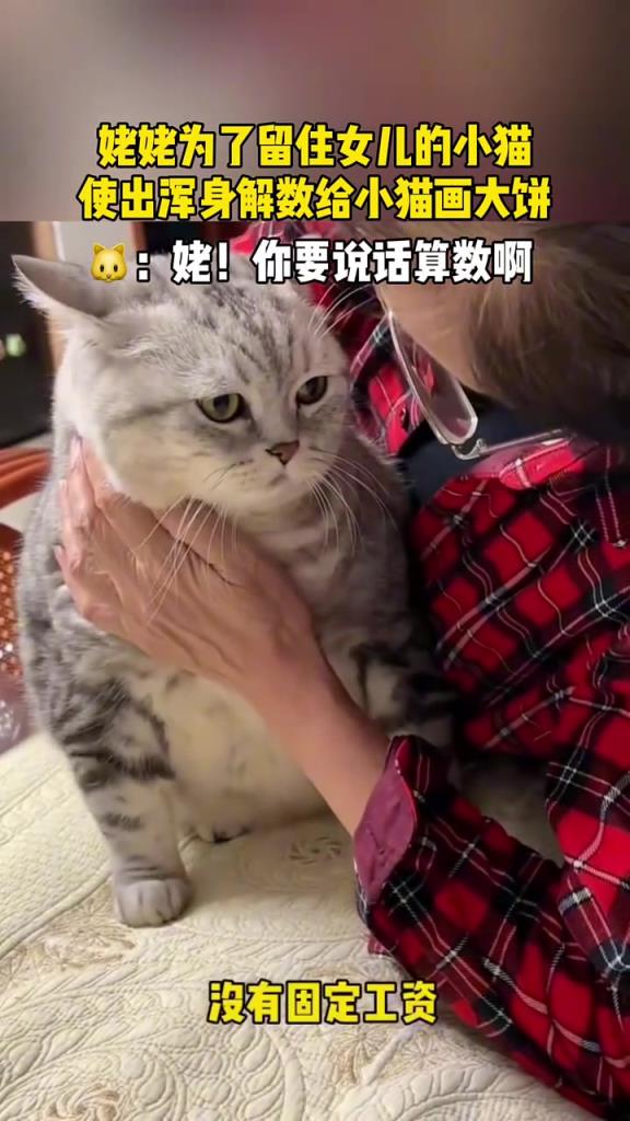 姥姥为了留着女儿的小猫，使出浑身解数给小猫画大饼