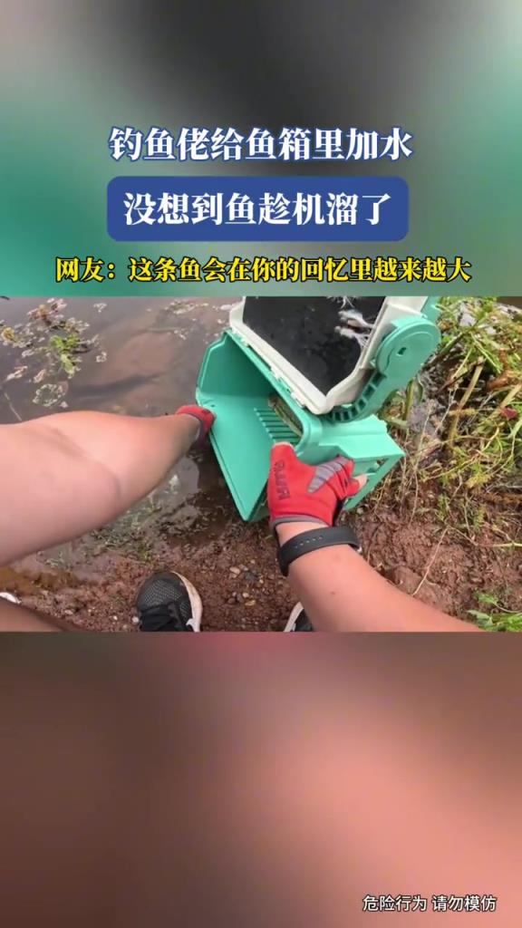 釣魚佬給魚箱里加水,沒想到魚趁機溜了!!
