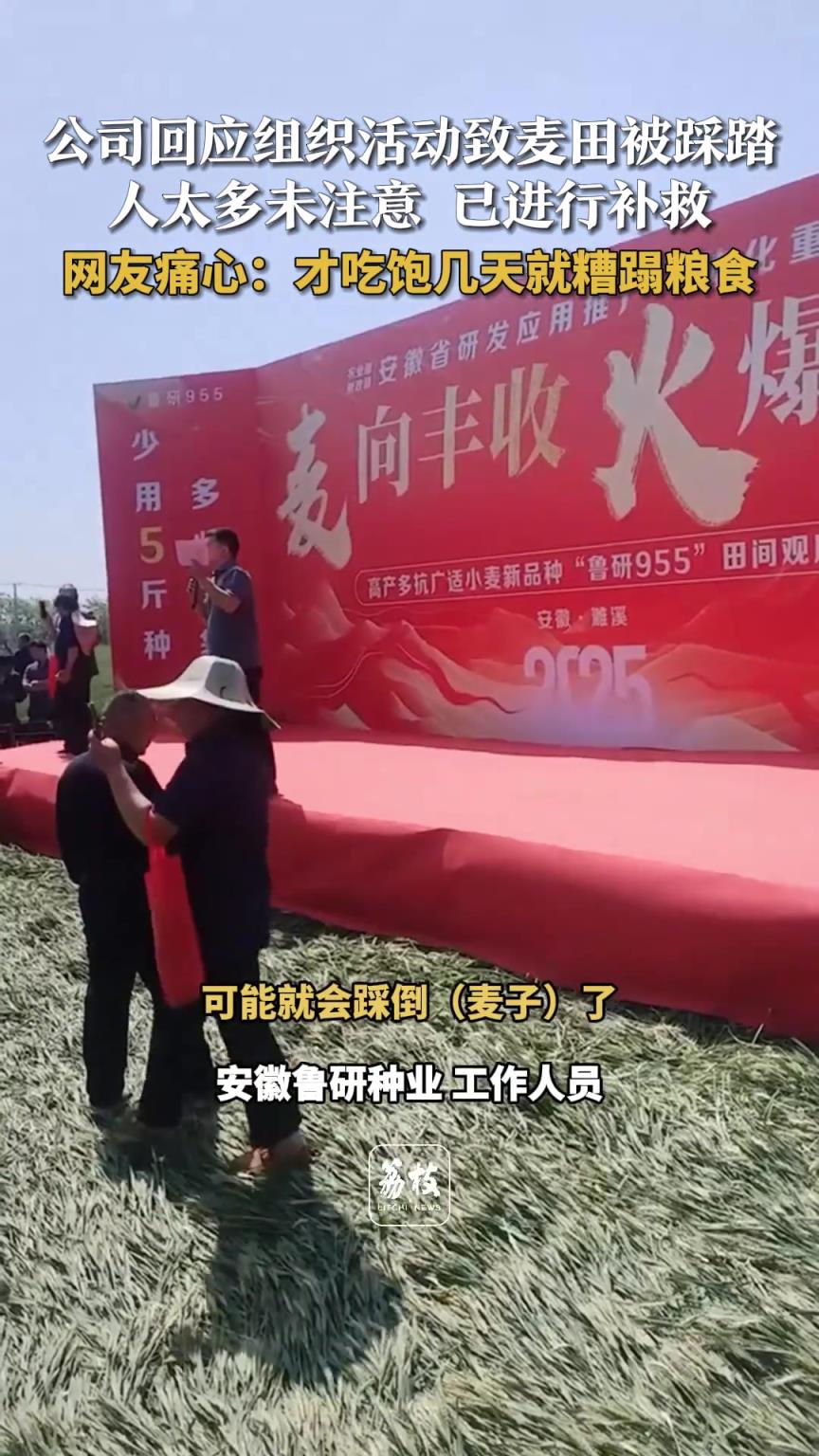 公司回应组织活动致麦田被踩踏 人太多未注意 已进行补救