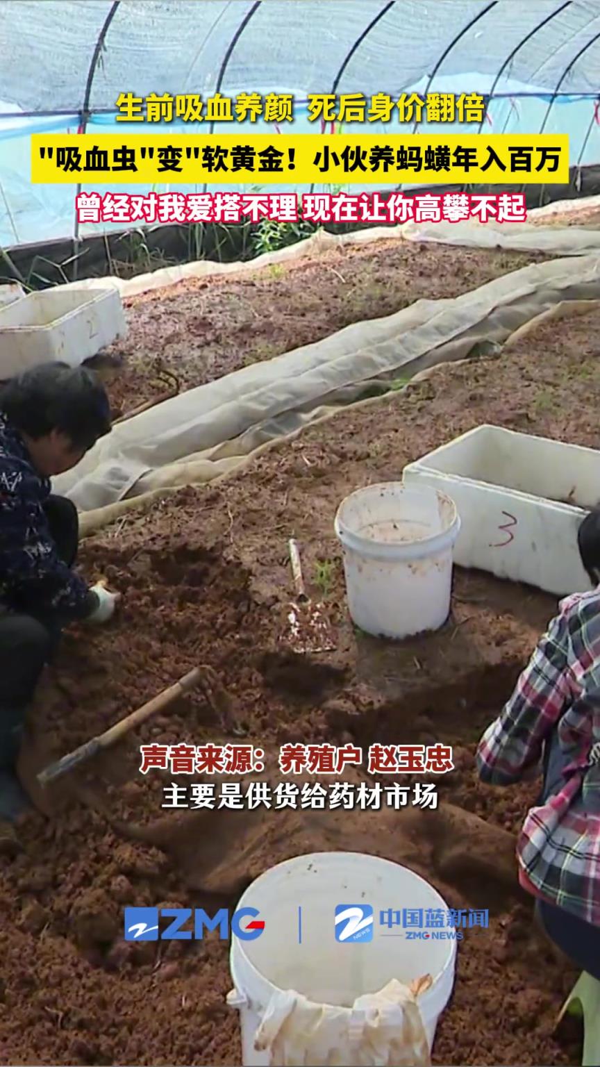曾經對我愛搭不理，現在讓你高攀不起！
