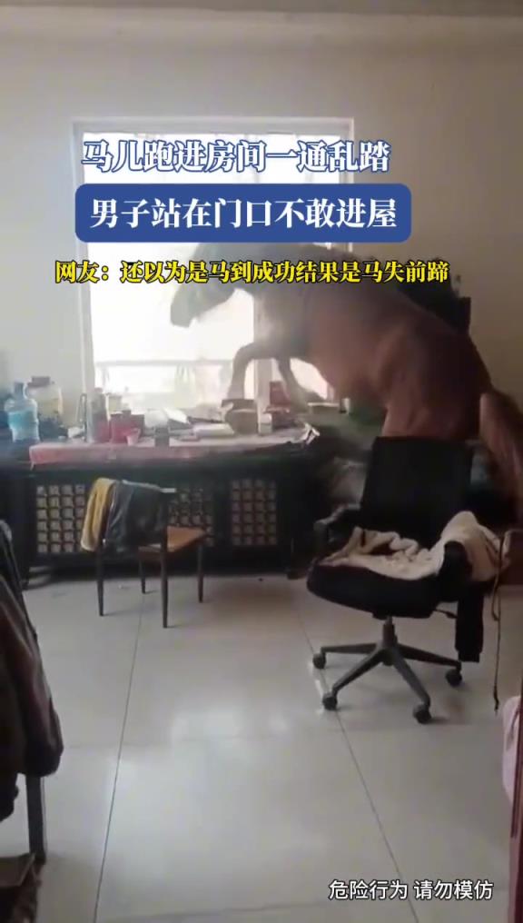 馬兒跑進房間一通亂踏,男子站在門口不敢進屋!!