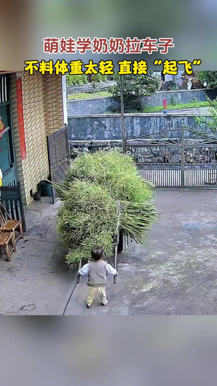 萌娃学奶奶拉车子，体重太轻直接“起飞”