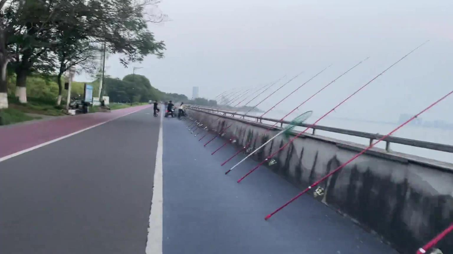 鱼是犯了天条吗？一公里的江边全是钓鱼杆