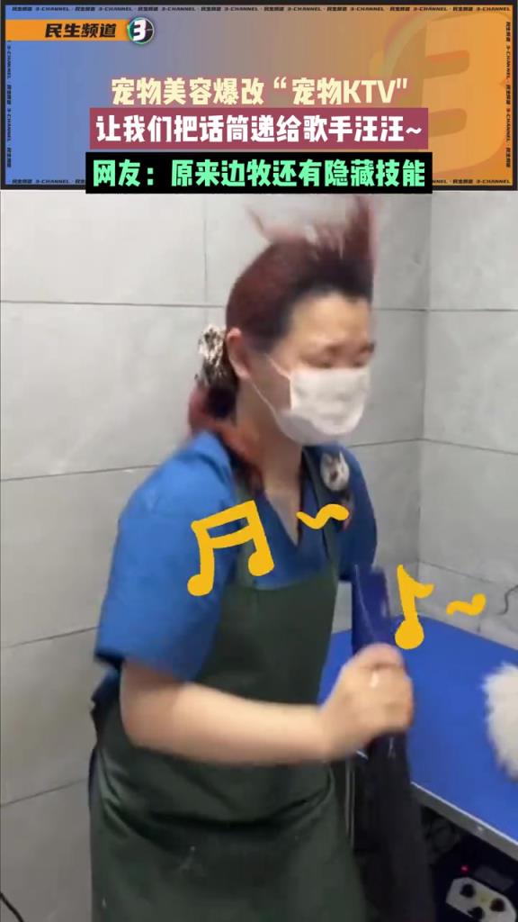 宠物美容爆改“宠物KTV“ ，让我们把话筒递给歌手汪汪