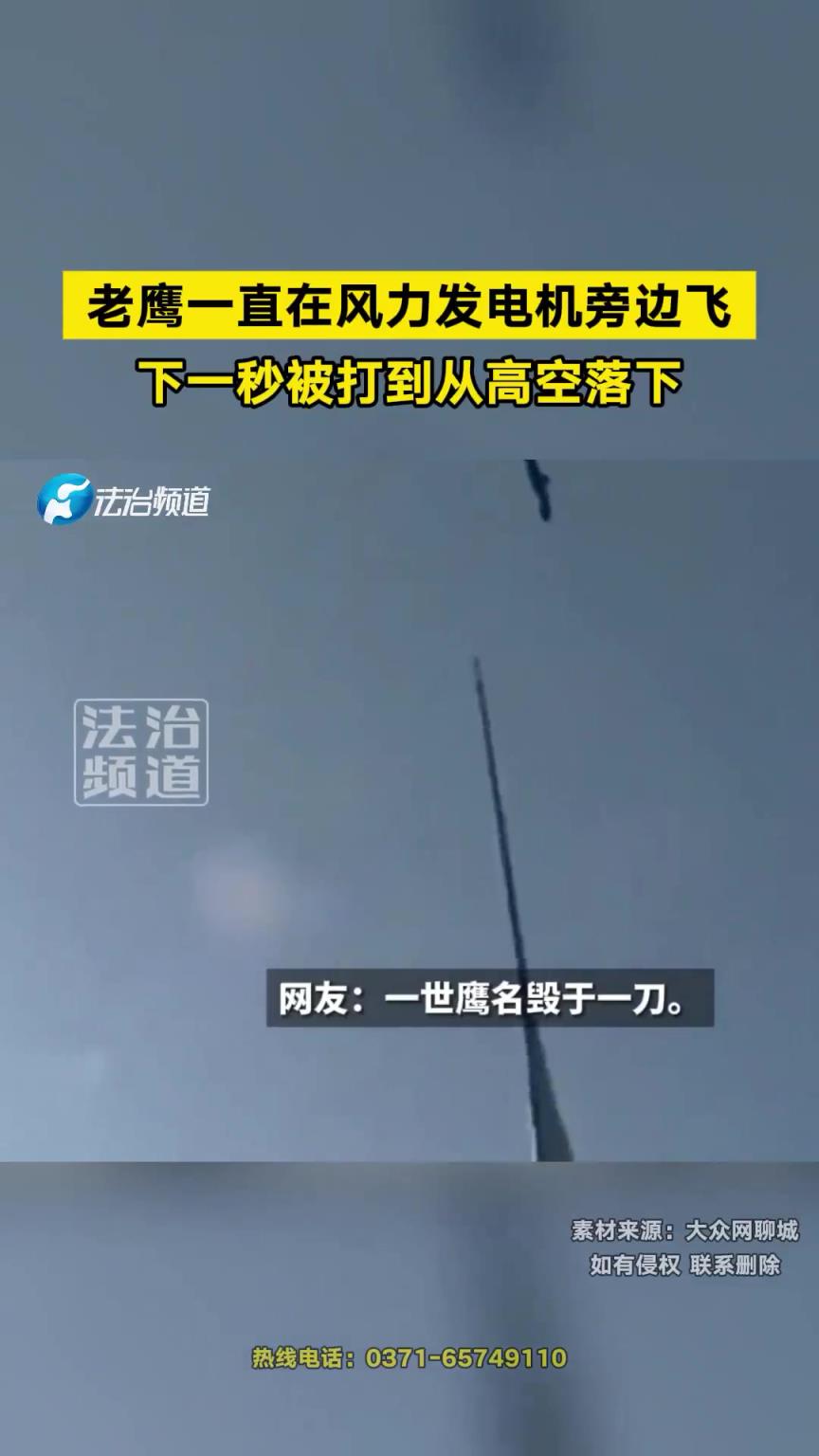 老鷹一直在風力發電機旁邊飛，下一秒被打到從高空落下！