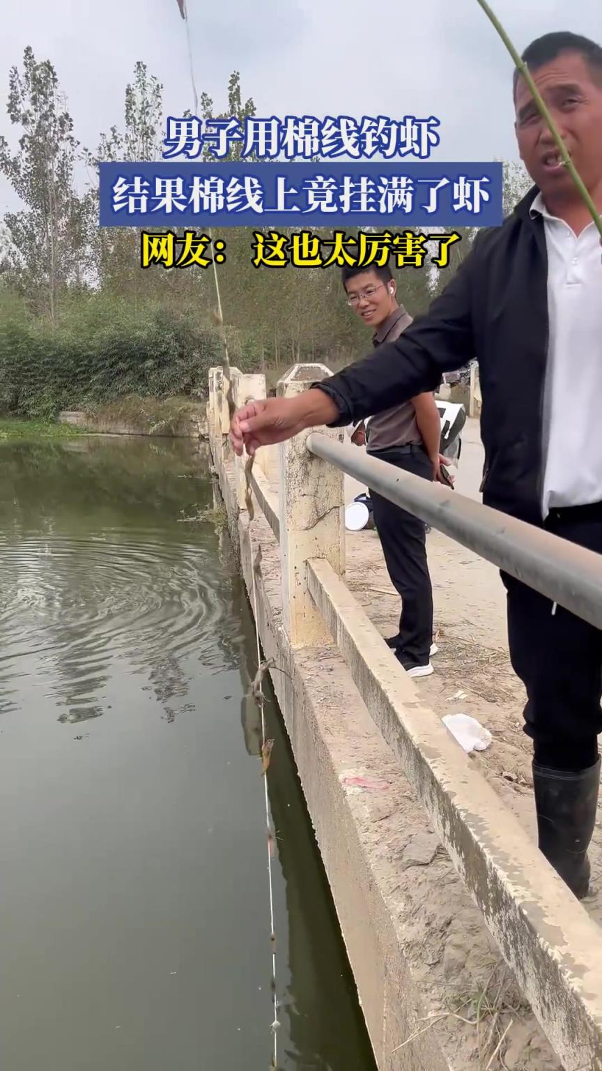 男子用棉线钓虾，结果棉线上竟挂满了虾，网友：这也太厉害了