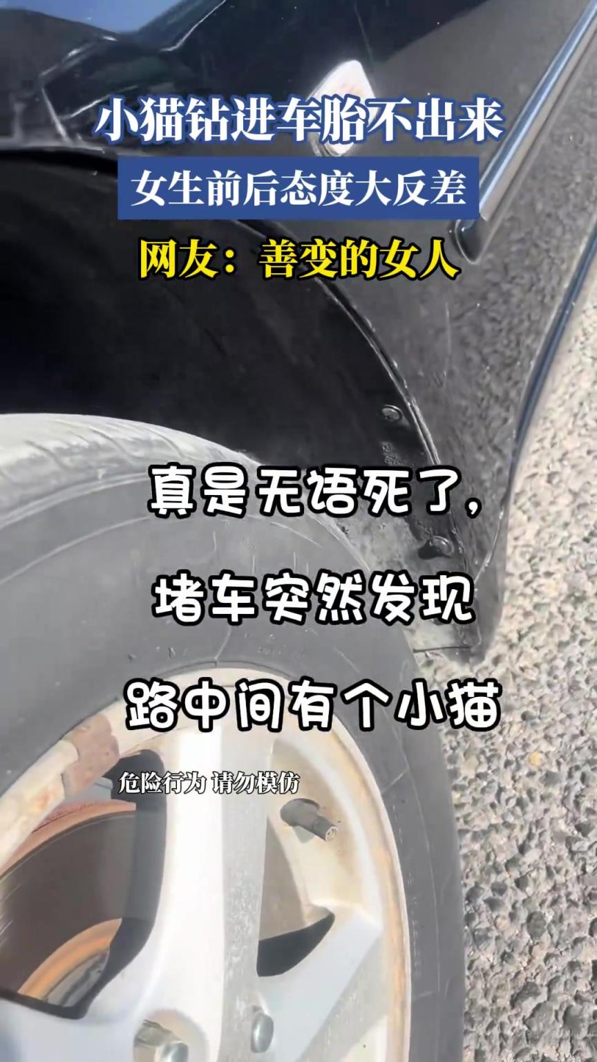 小猫钻进车胎不出来，女生前后态度大反差，网友：善变的女人