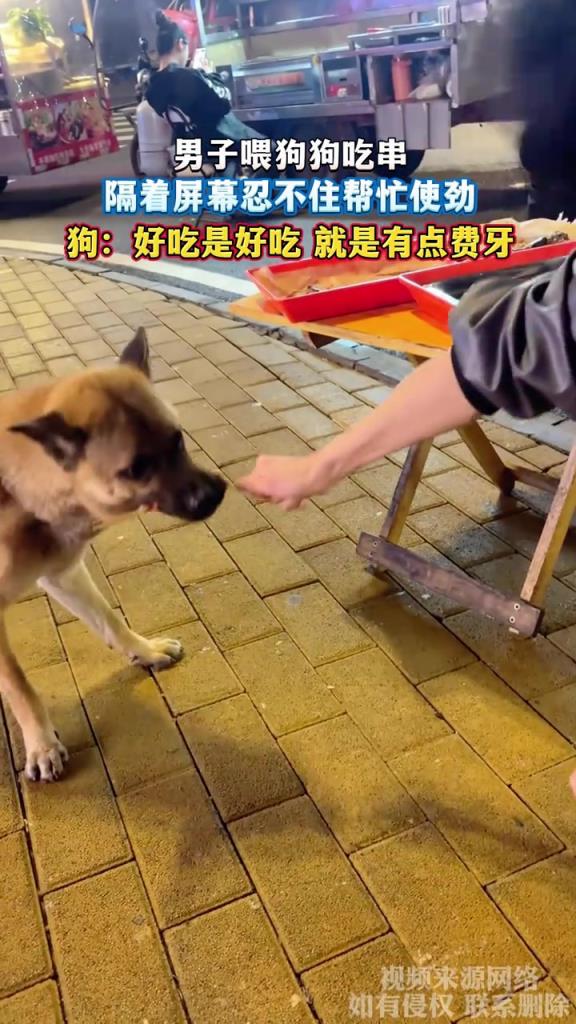 男子喂狗狗吃串 隔着屏幕忍不住帮忙使劲