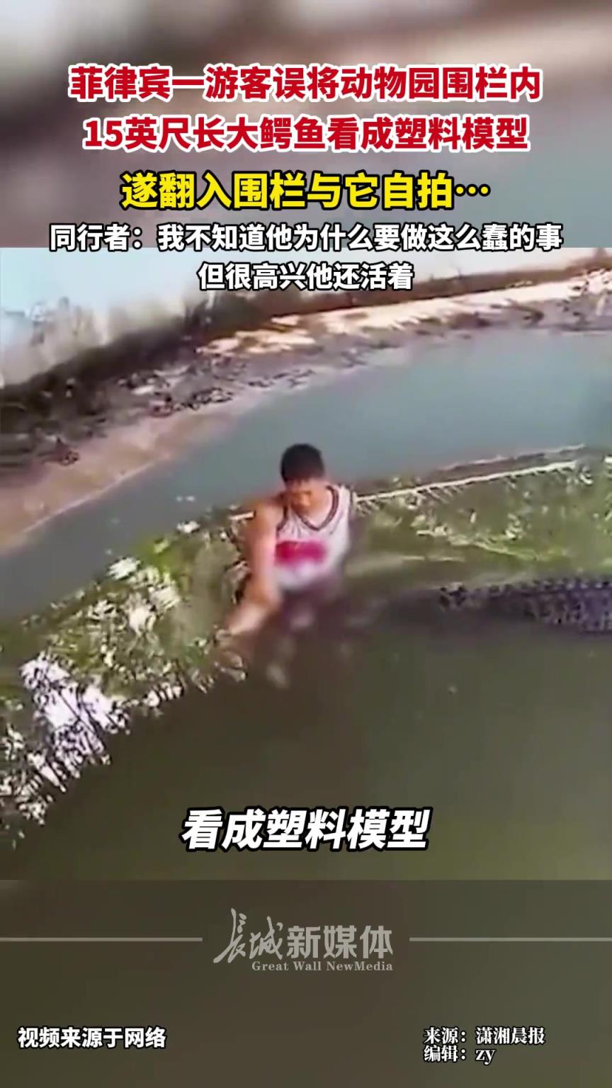 菲律宾一游客误将动物园围栏内15英尺长大鳄鱼看成塑料模型