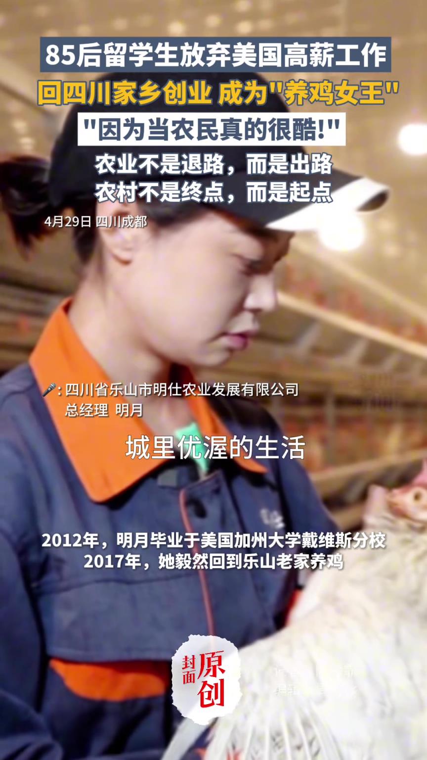 85后留学生放弃美国高薪工作，回四川家乡创业 成为“养鸡女王”