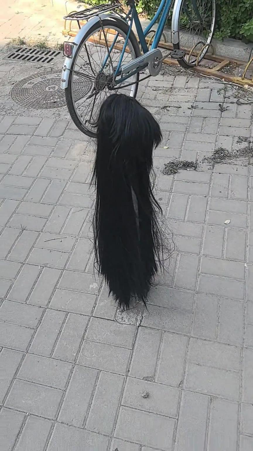 谁的头发呀吓死人了，大白天的