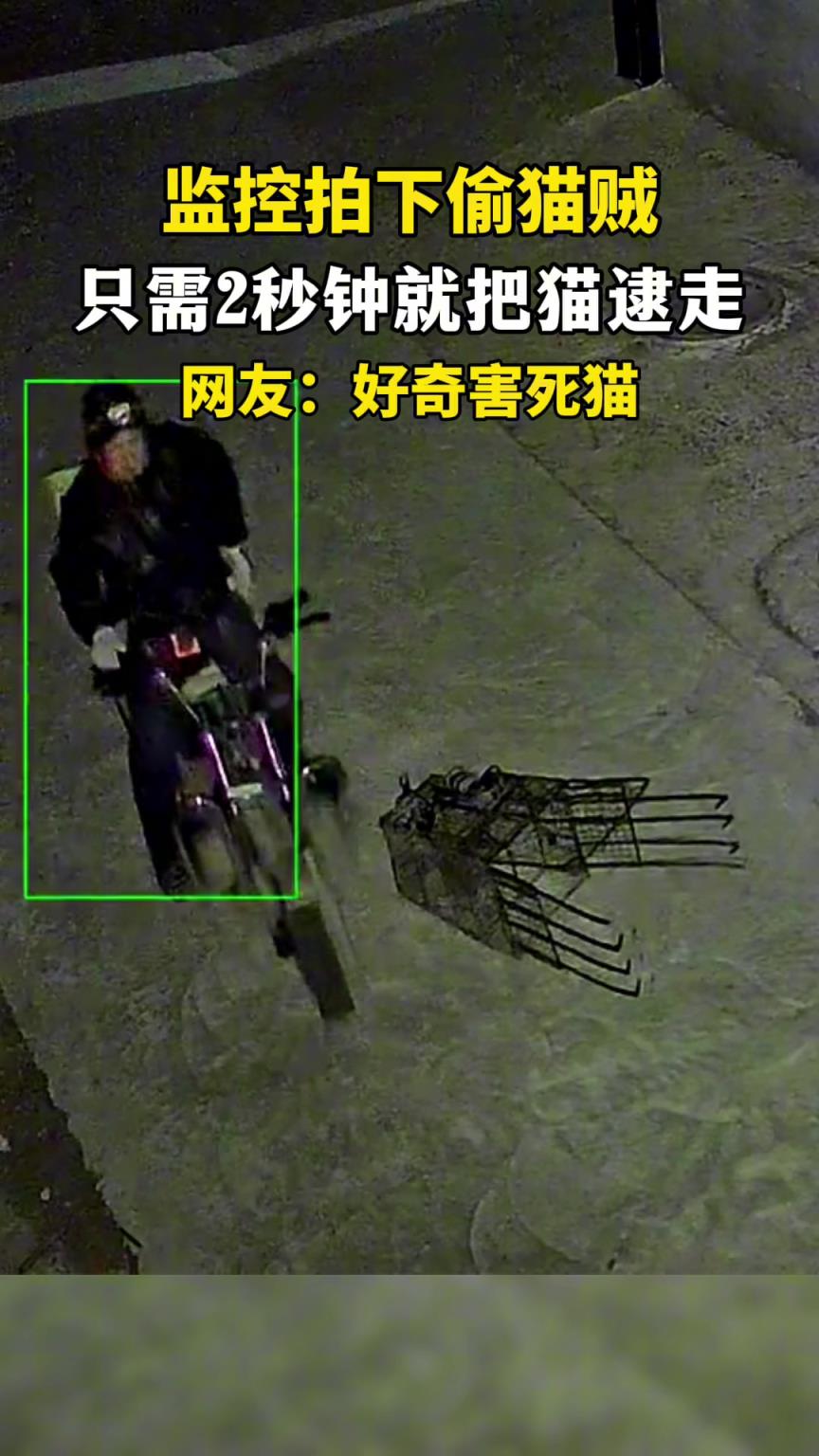 主人監控攝像頭拍下 男子2秒鐘偷走自己的貓