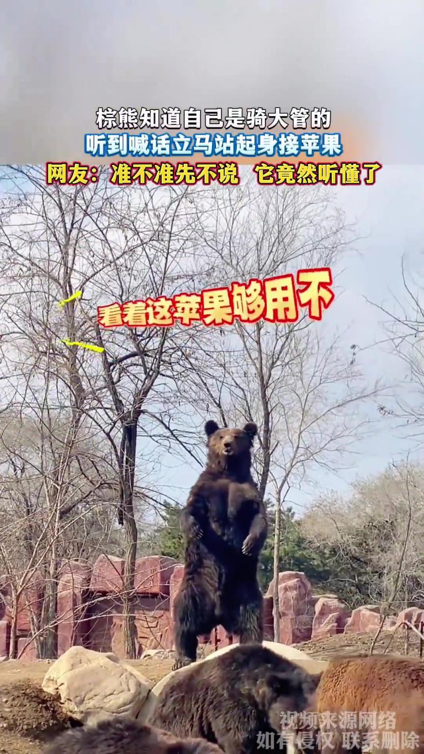 準不準先不說 它竟然聽懂了！