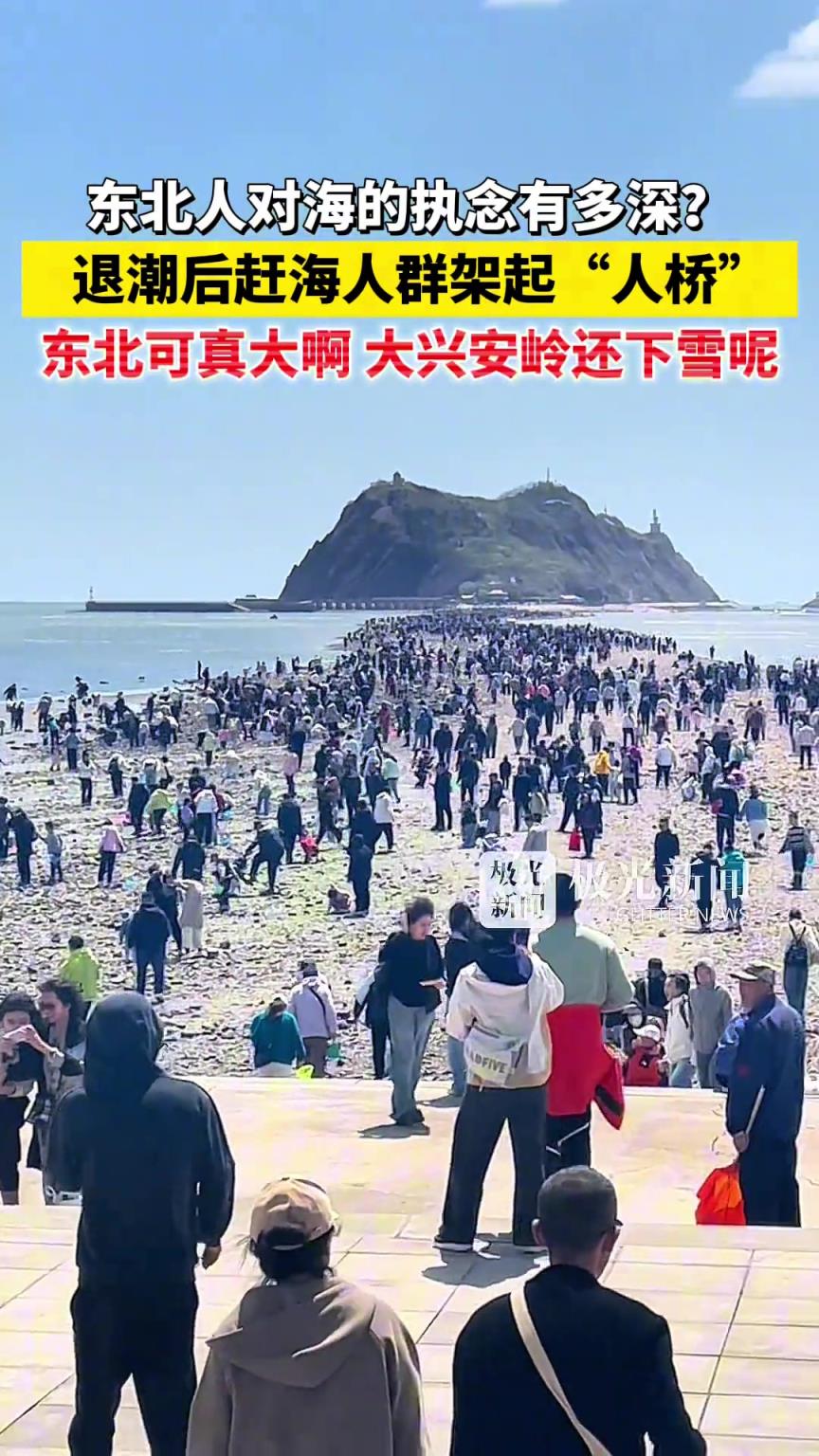 東北人對海的執念有多深？退潮后趕海人群形成“人橋”！