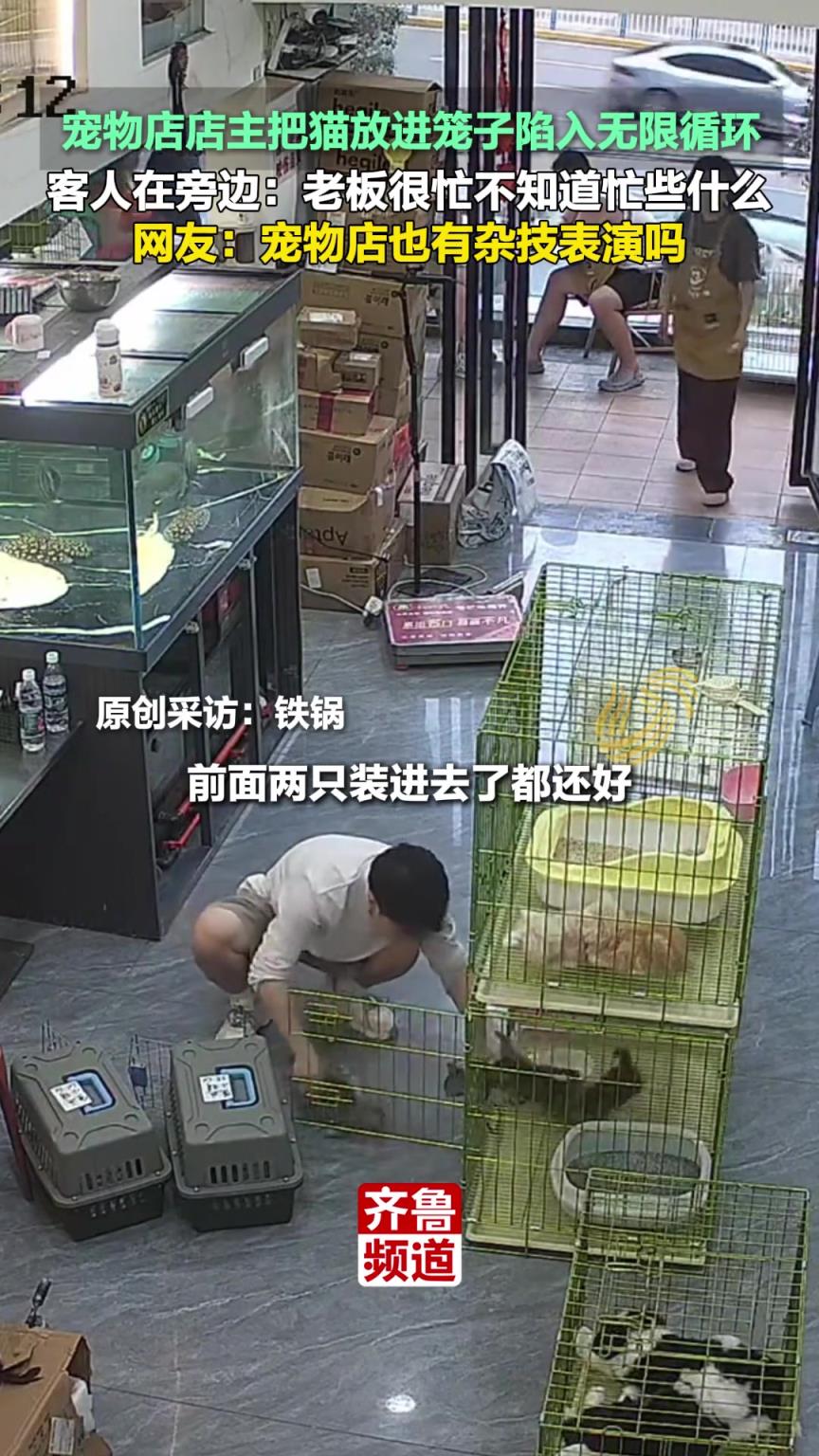 寵物店店主把貓放進籠子陷入無限循環