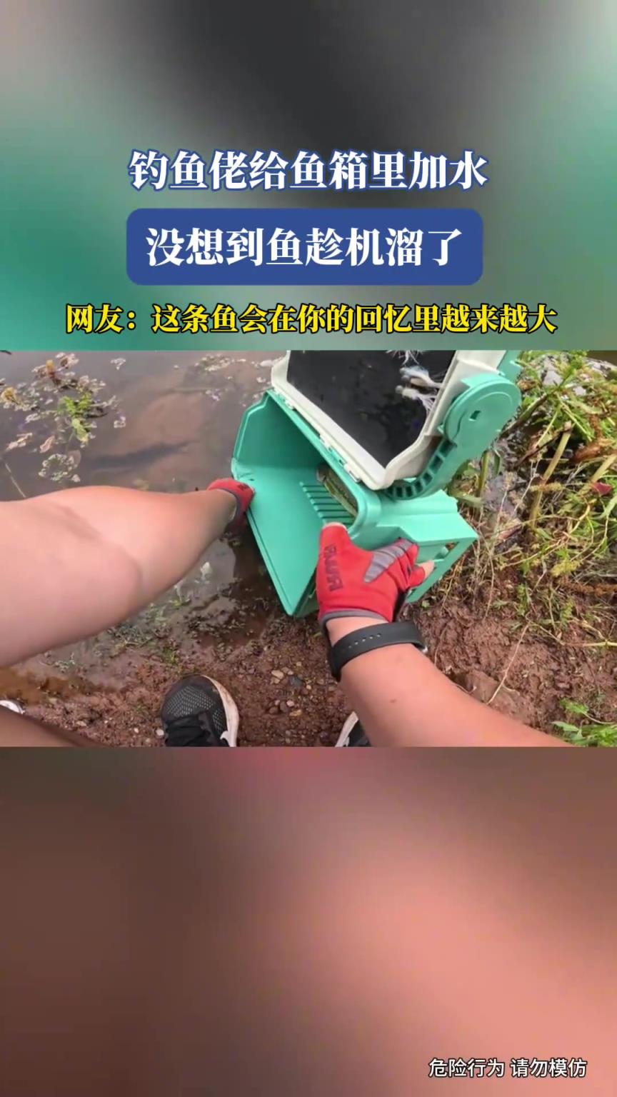 釣魚佬給魚箱里加水，沒想到魚趁機溜了