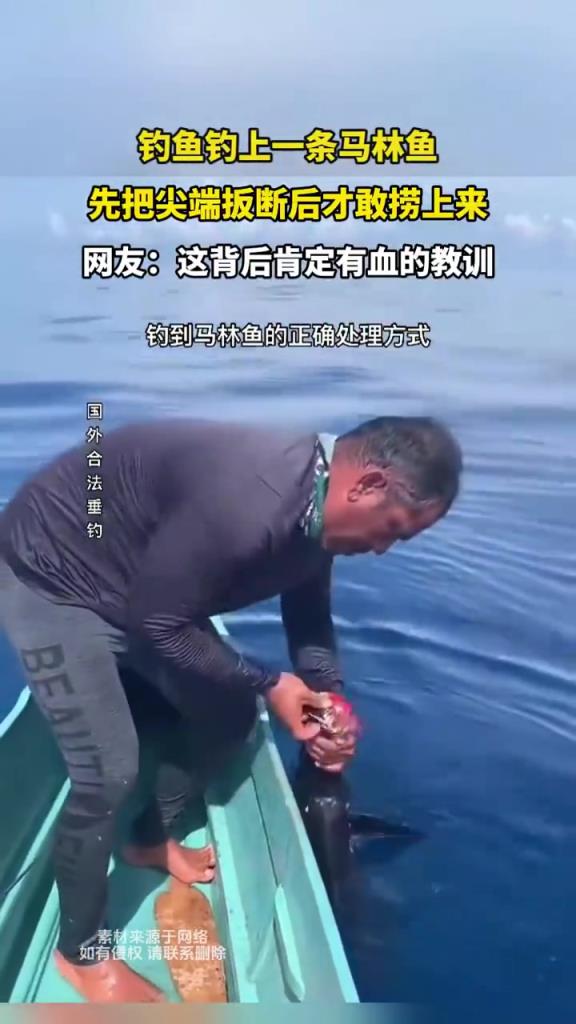 钓鱼钓上一条马林鱼，先把尖端扳断后才敢捞上来