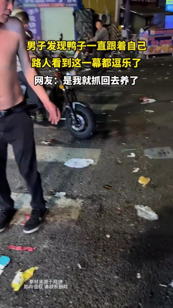 男子发现鸭子一直跟着自己,路人看到这一幕都逗乐了!!